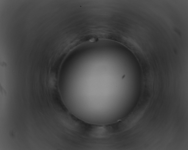 X0000090860083200708030957