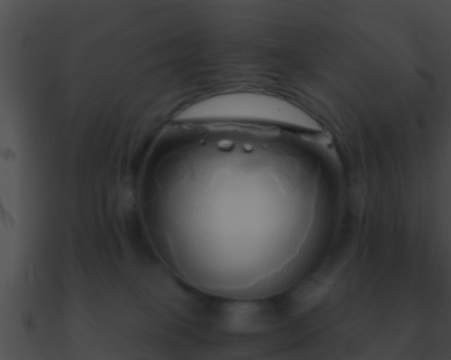 X0000090860085200708030957