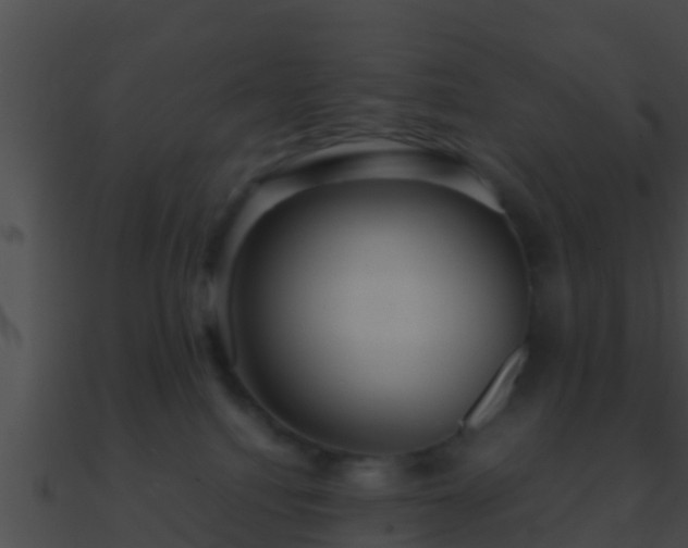 X0000090860088200708030957