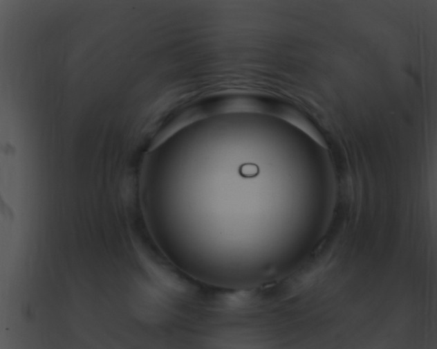 X0000090860092200708030957