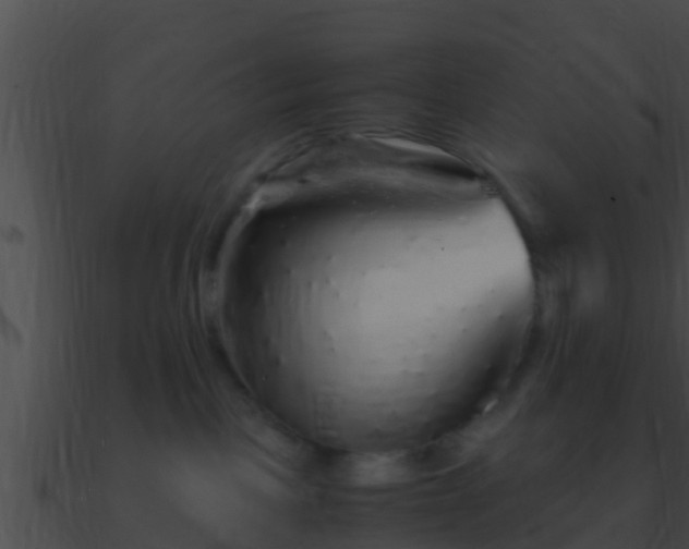 X0000090860093200708030957