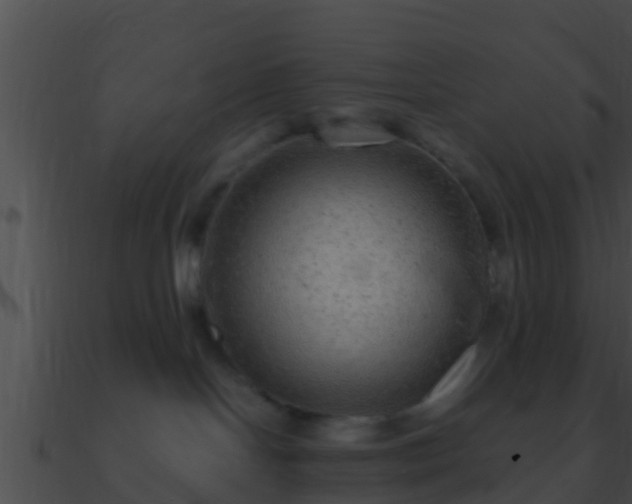 X0000090860094200708030957