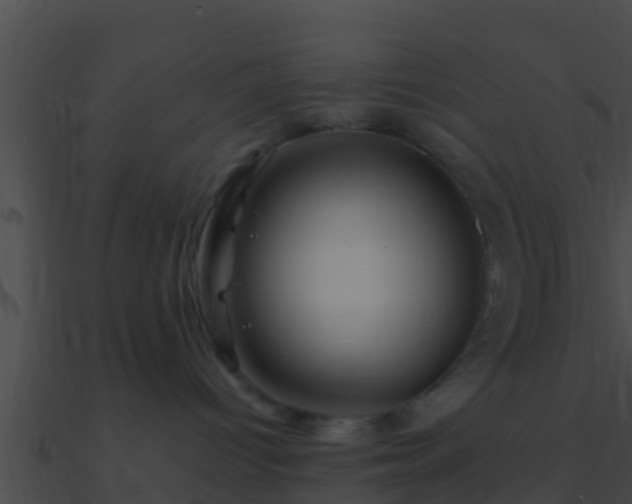 X0000090860096200708030957