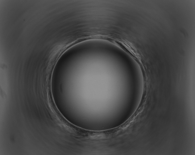 X0000090860097200708030956