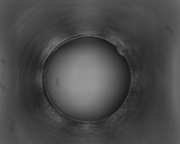 X0000090860098200708030956