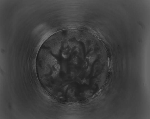 X0000090860099200708030956