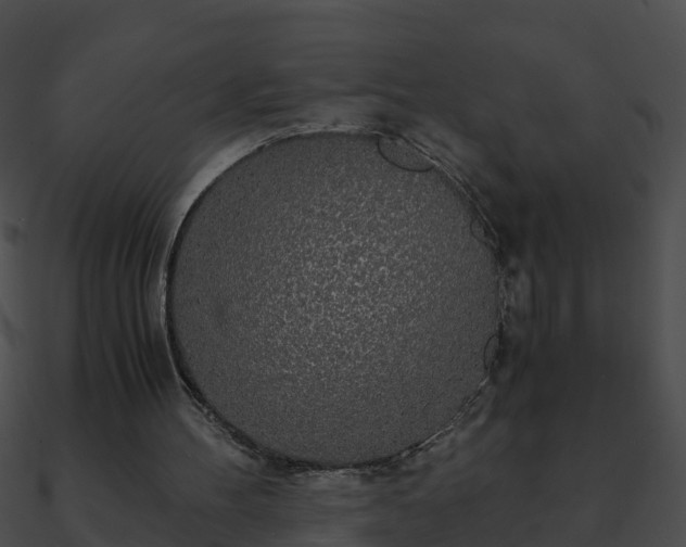 X0000090860100200708030956