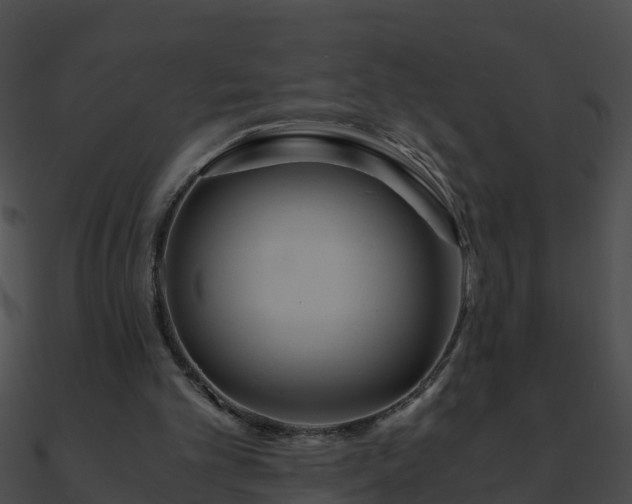 X0000090860101200708030956