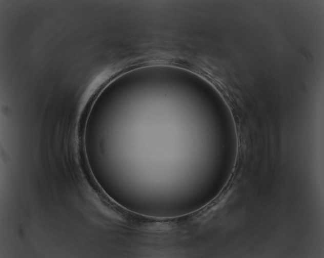 X0000090860102200708030956