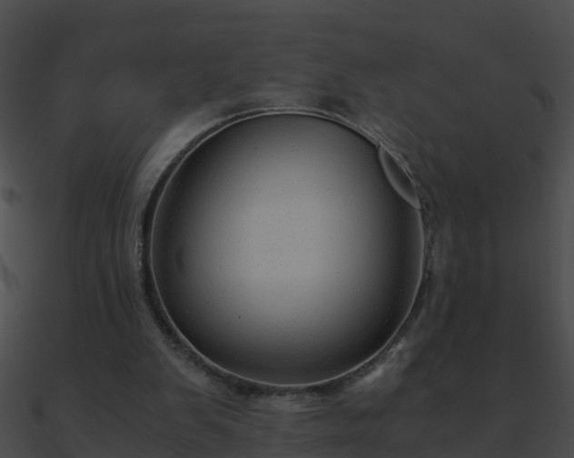 X0000090860103200708030956