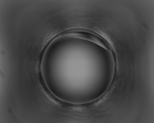 X0000090860105200708030956