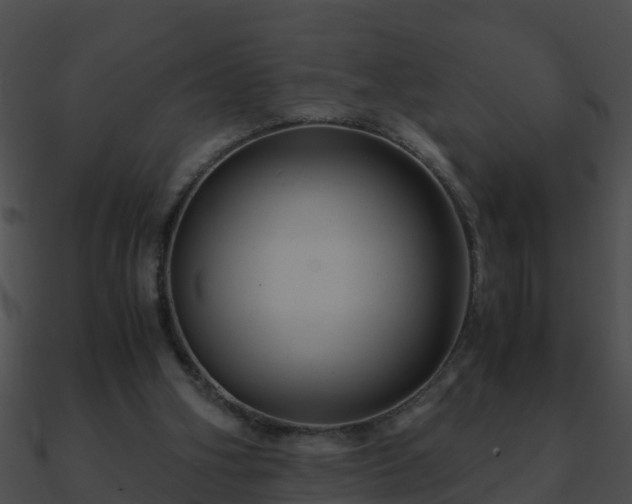 X0000090860106200708030956