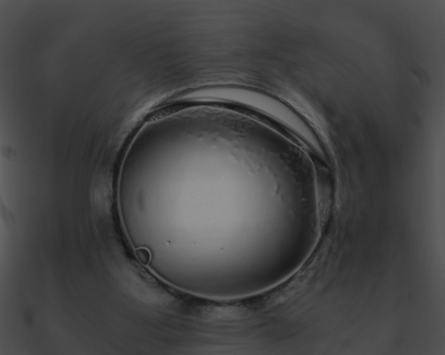 X0000090860107200708030956