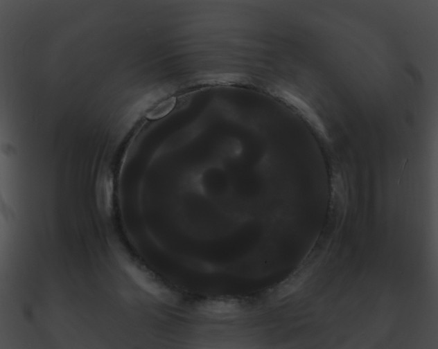X0000090860110200708030956