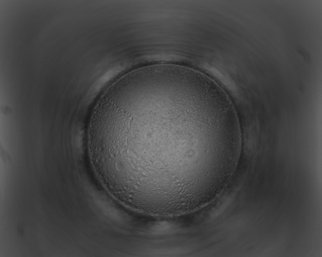 X0000090860111200708030956