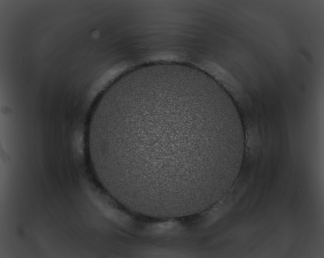 X0000090860112200708030956