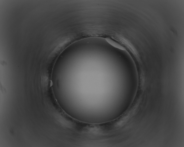 X0000090860113200708030956