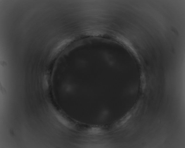 X0000090860114200708030956