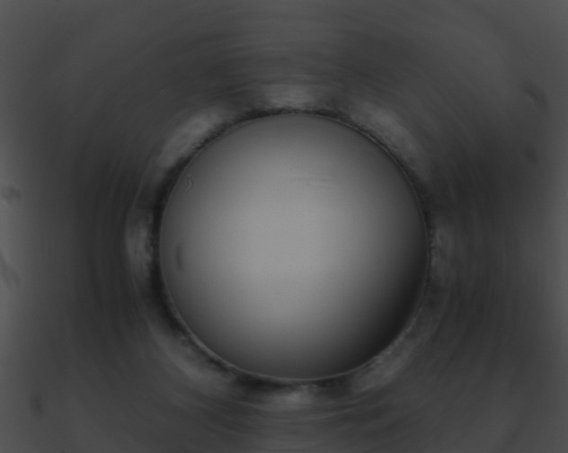 X0000090860116200708030956