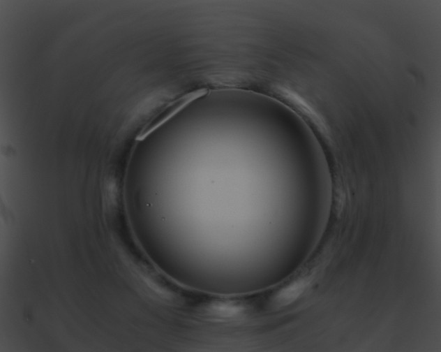 X0000090860117200708030956