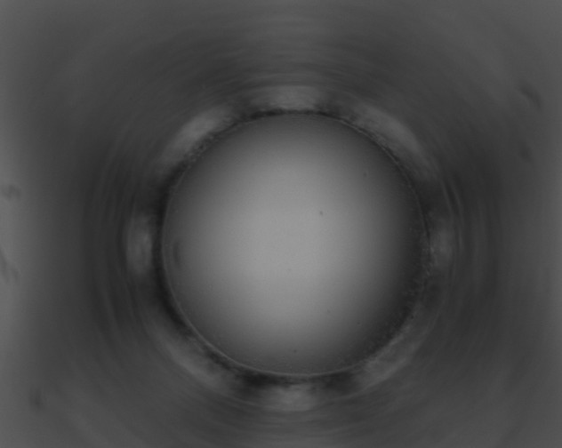 X0000090860120200708030956