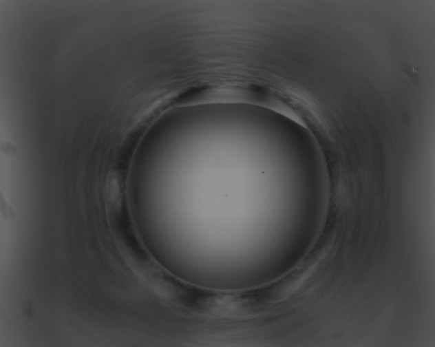 X0000090860121200708030956