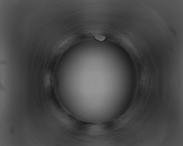 X0000090860122200708030956