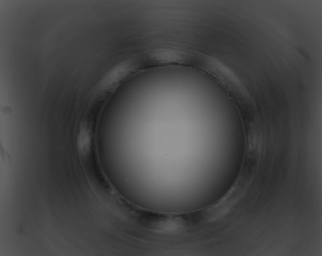X0000090860124200708030956