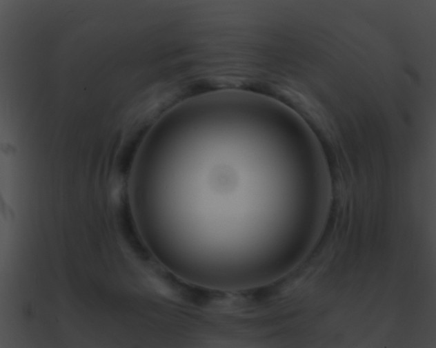 X0000090860125200708030956