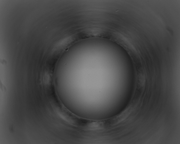 X0000090860126200708030956