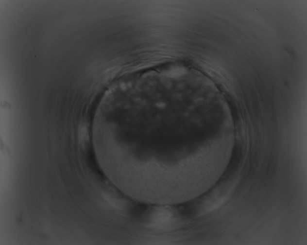 X0000090860127200708030956