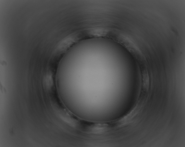 X0000090860128200708030956