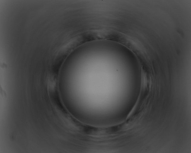 X0000090860129200708030956
