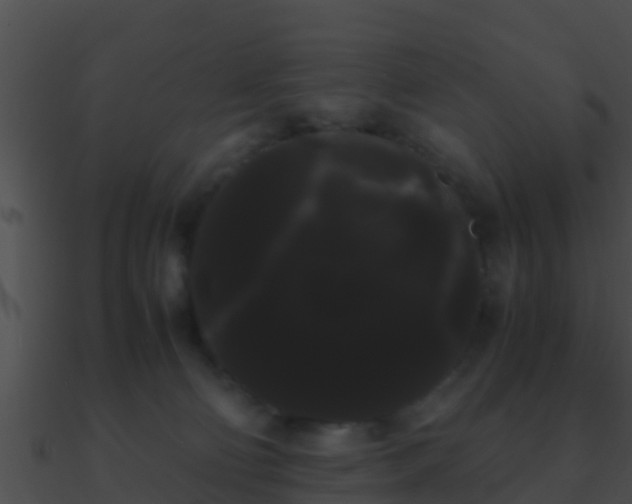 X0000090860130200708030956
