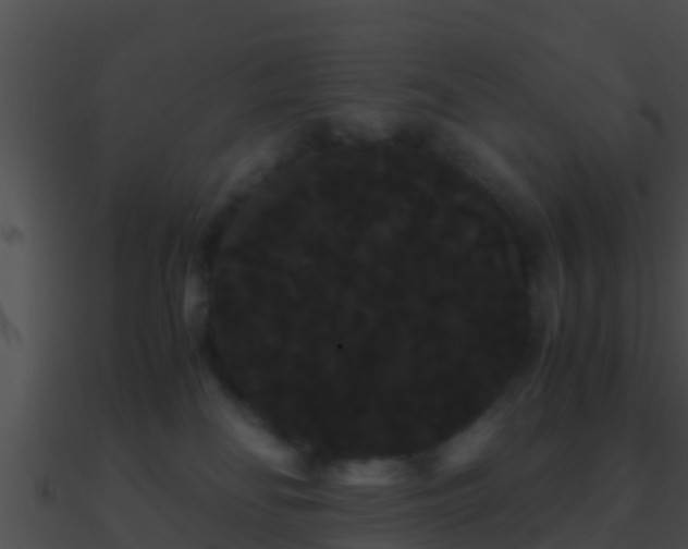 X0000090860134200708030956
