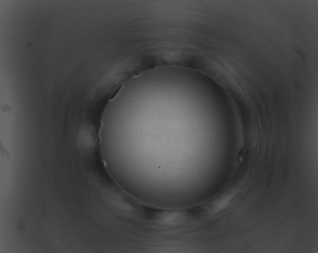 X0000090860135200708030956
