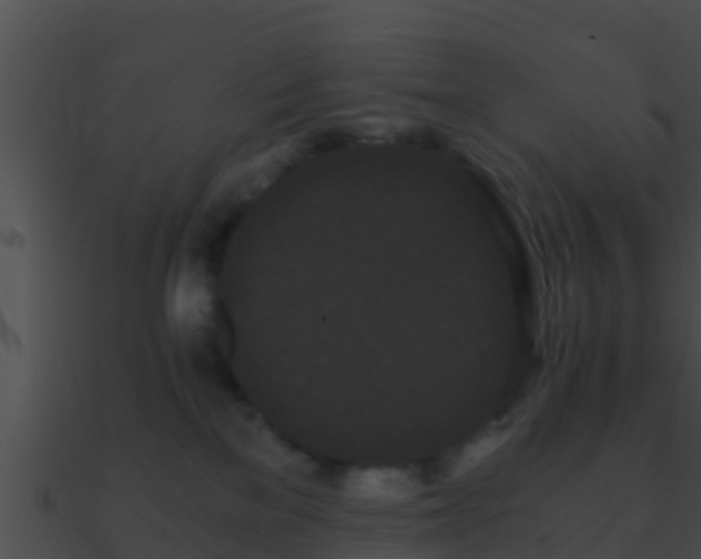 X0000090860137200708030956