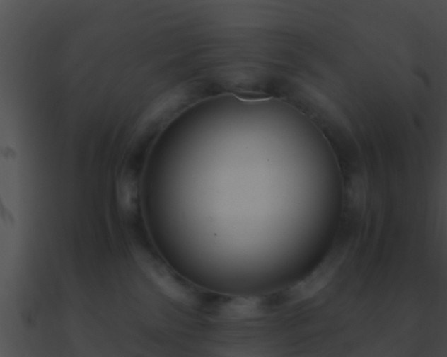 X0000090860138200708030956