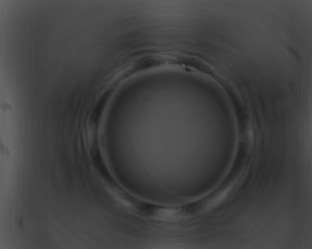 X0000090860139200708030956
