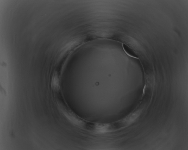 X0000090860143200708030956