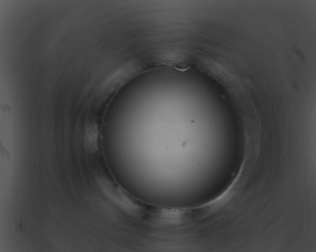 X0000090860144200708030956