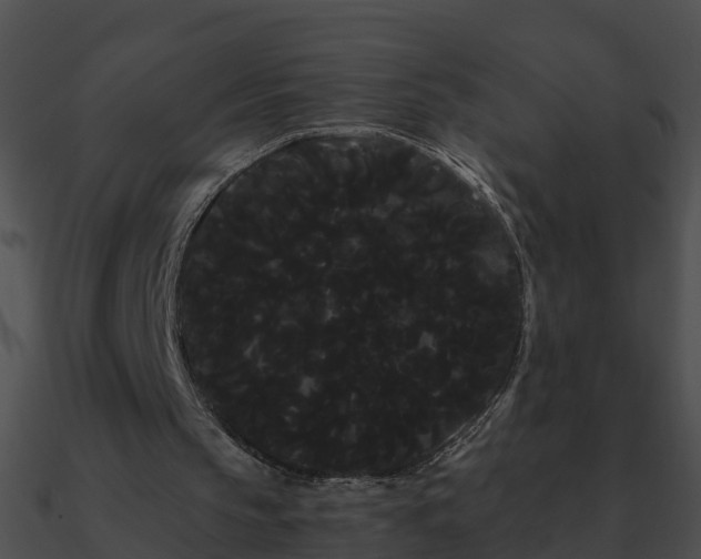 X0000090860145200708030955