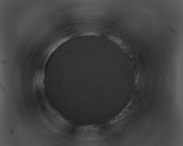 X0000090860146200708030955