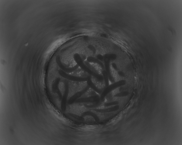 X0000090860149200708030955
