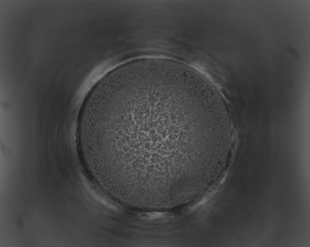 X0000090860151200708030955
