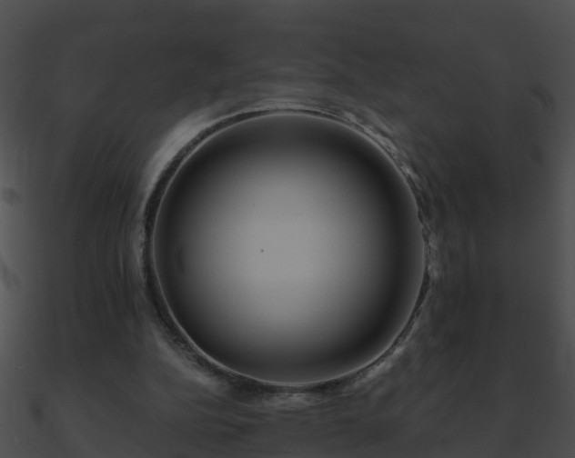 X0000090860152200708030955