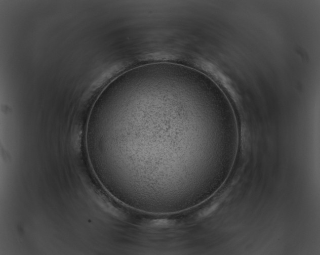 X0000090860153200708030955