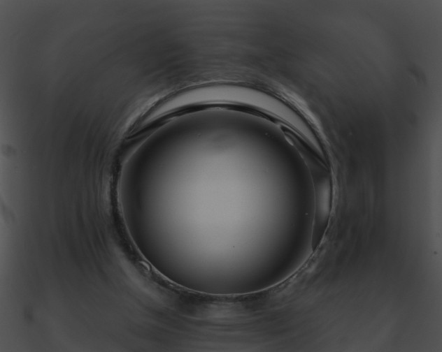 X0000090860154200708030955