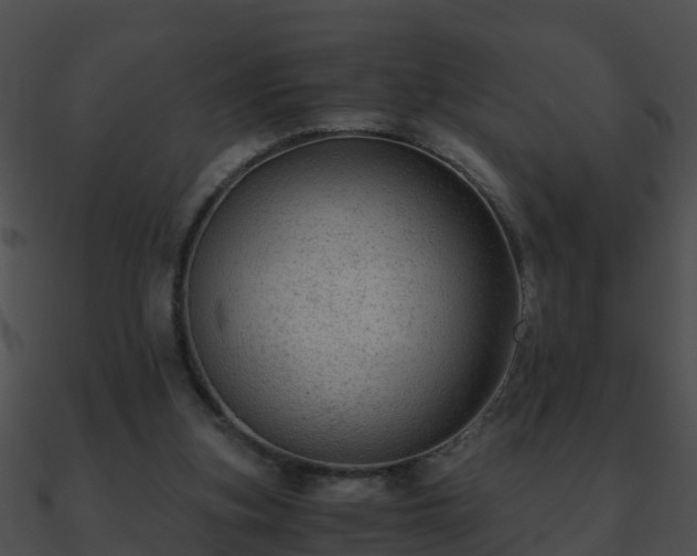 X0000090860155200708030955