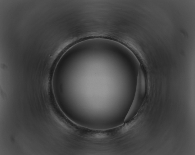 X0000090860156200708030955